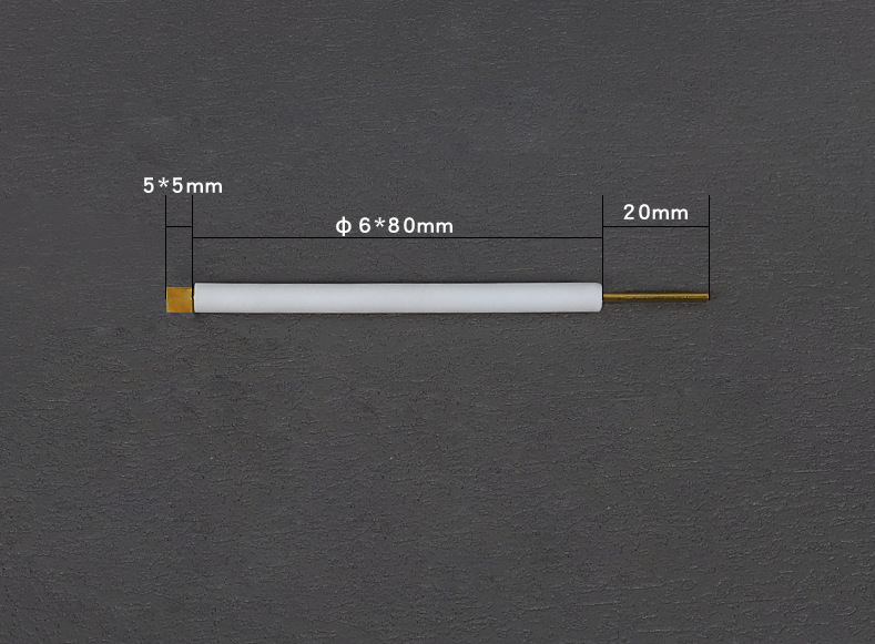 Électrodes de travail en plaque d’or avec tige en PTFE