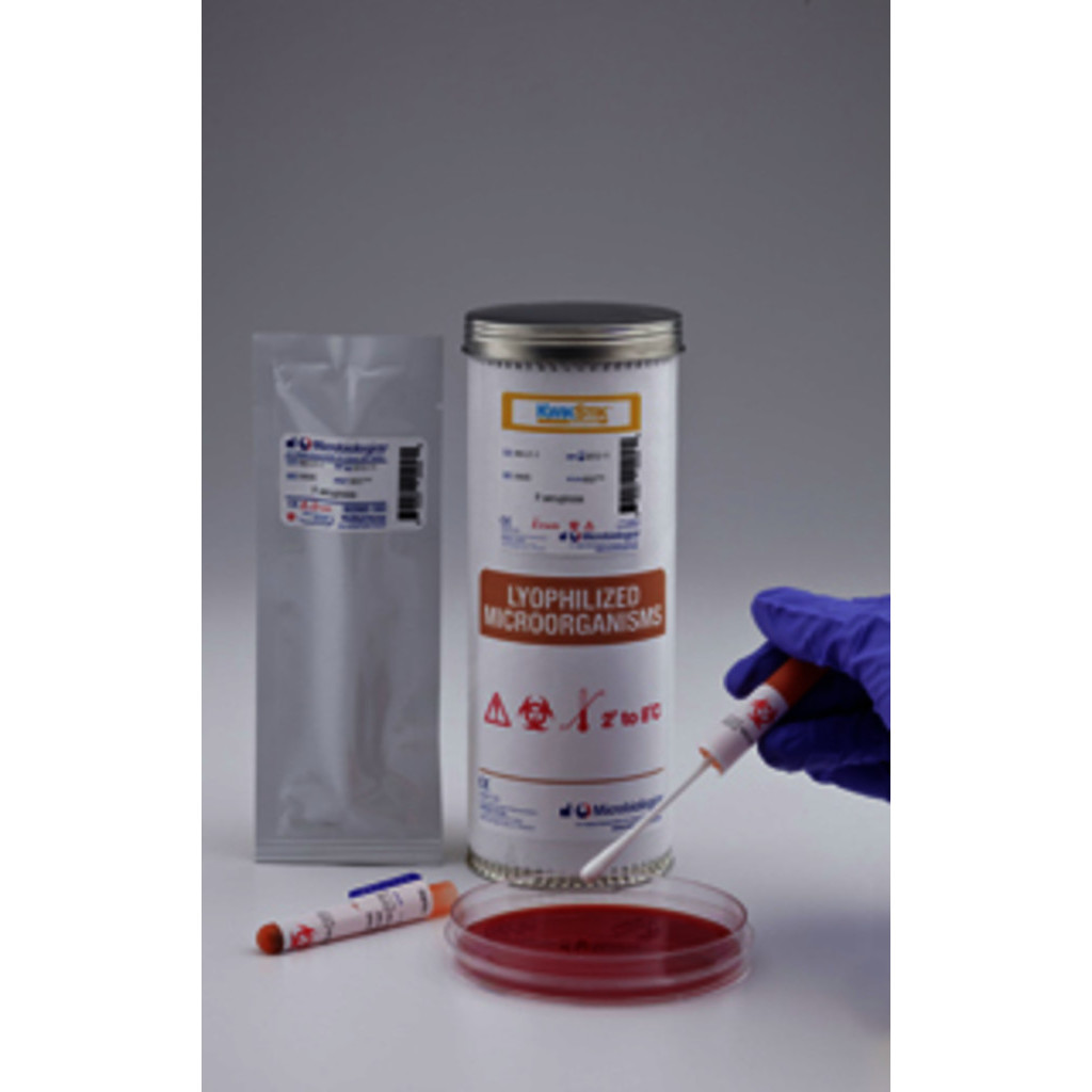 KWIK-STIK LISTERIA GRAYI ATCC25401TM-2 ECOUV.