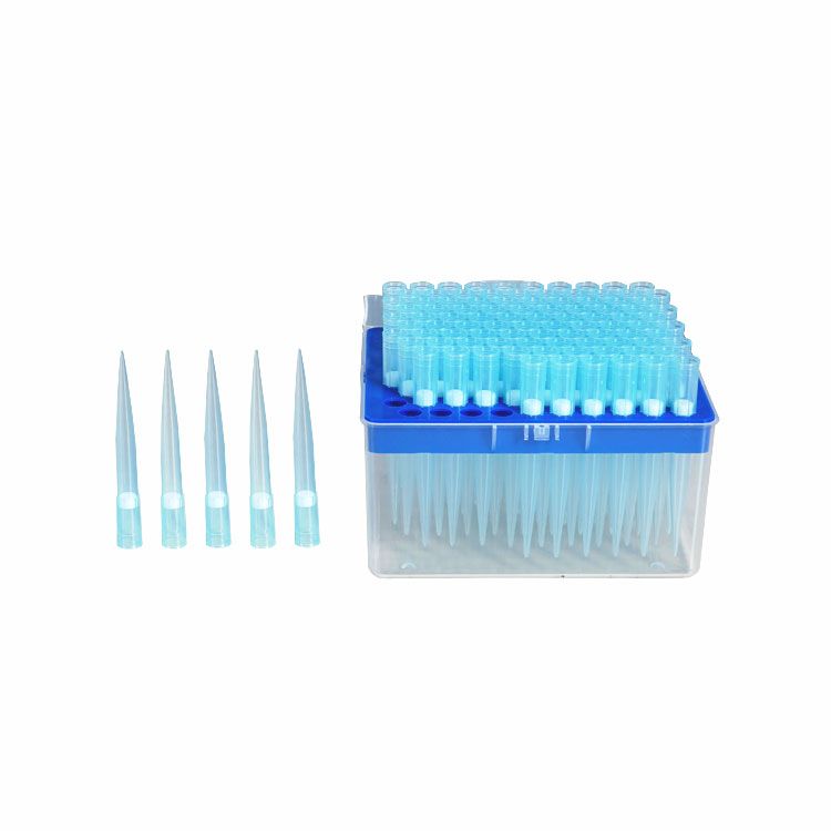 Pointe de pipette avec filtre stérile 1000 ul – 1 Carton de 4800 pièces